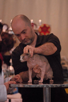 Philippe &eacute;l&egrave;ve-juge &agrave; Gen&egrave;ve