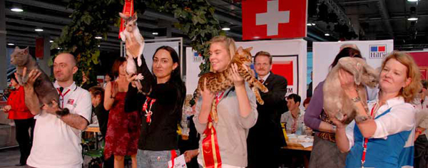 Diderot du Cœur Royal, Champion du Monde FIFe en 2009, &agrave; Saint Gall